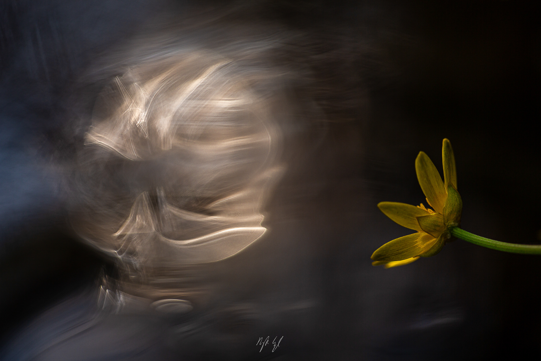 Liquid Souls